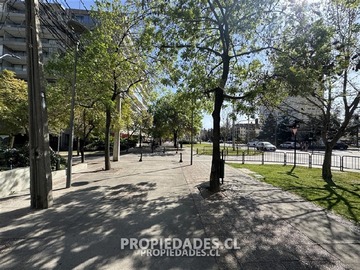 Imagen 8