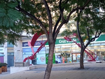 Imagen 17