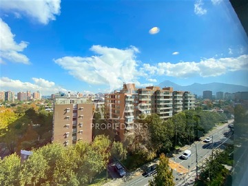 Imagen 11