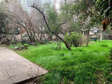 Imagen 27