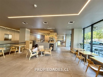 Imagen 12