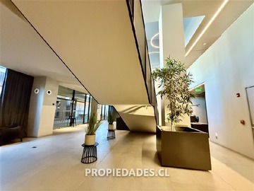 Imagen 11