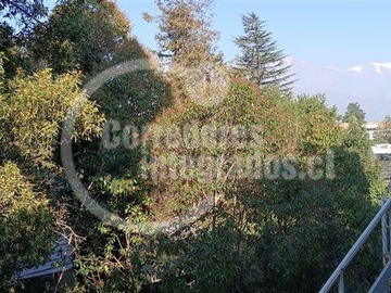 Imagen 11