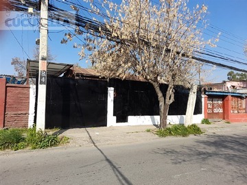 Imagen 24