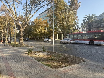 Imagen 13