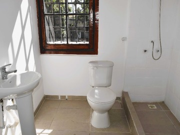 Imagen 13