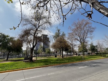 Imagen 11