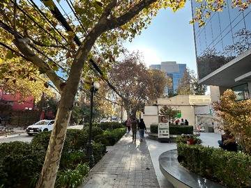 Imagen 17