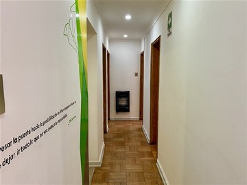 Imagen 19