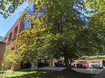 Arriendo Mensual / Oficina / Providencia