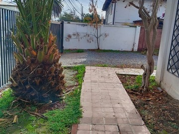 Imagen 5