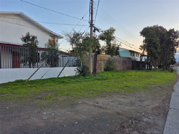Imagen 26