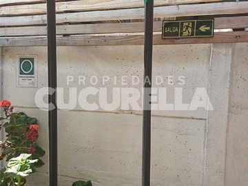 Imagen 25