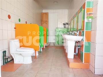 Imagen 11