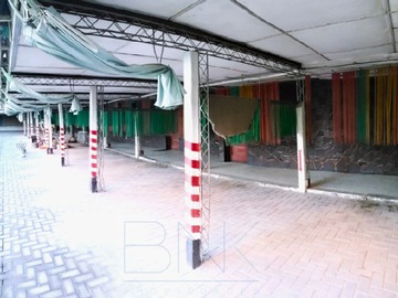 Imagen 5