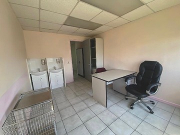 Imagen 12