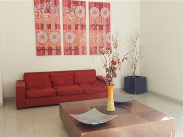 Imagen 10