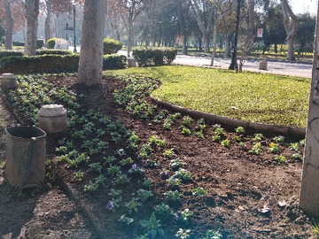 Arriendo Mensual / Oficina / Santiago