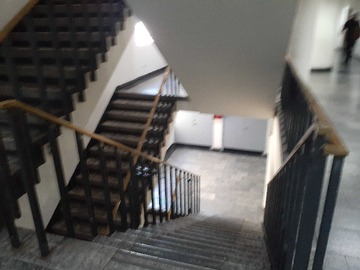 Imagen 12