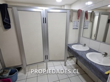 Imagen 15