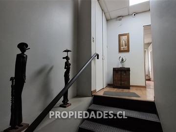 Imagen 19