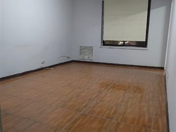Imagen 11