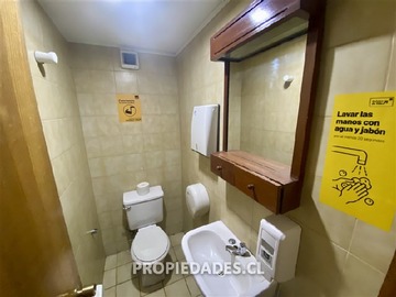 Imagen 15