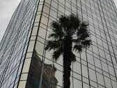 Arriendo Mensual / Oficina / Santiago