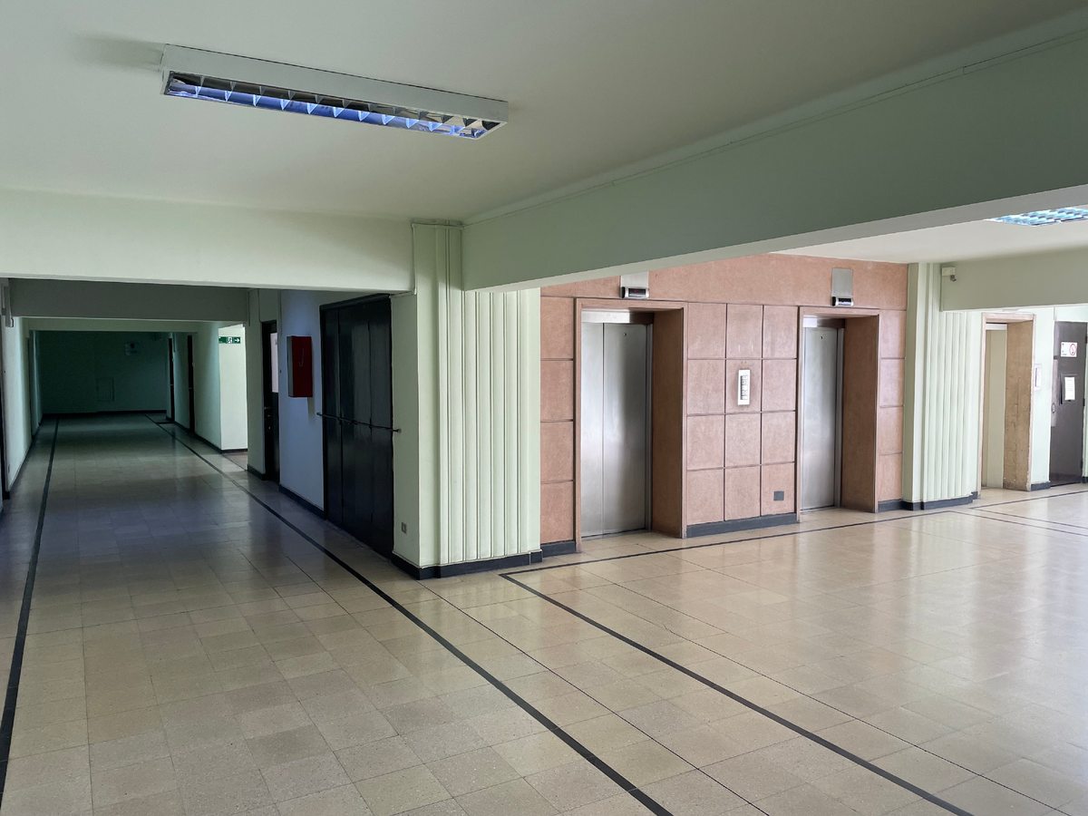 Elevadores