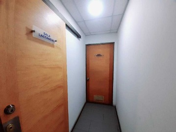 Imagen 11
