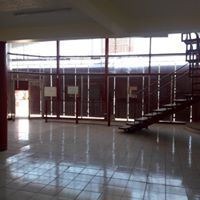 Imagen 5