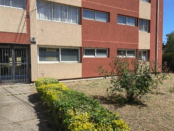 Imagen 6