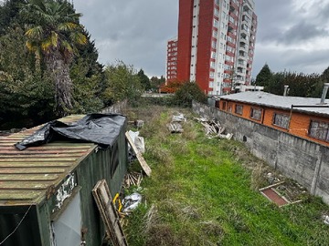 Imagen 19