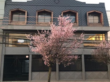 Arriendo Mensual / Oficina / Temuco