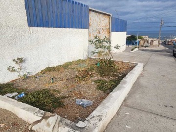 Imagen 16