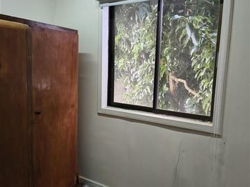 Imagen 24