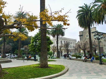 Imagen 15