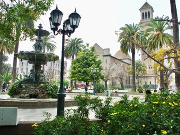 Imagen 16