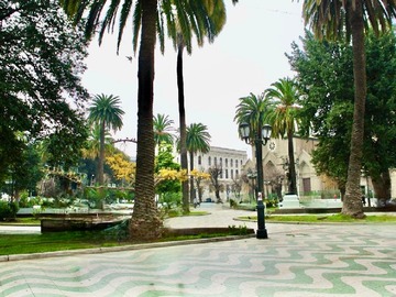 Imagen 14