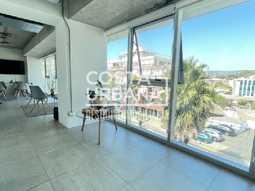 Imagen 7