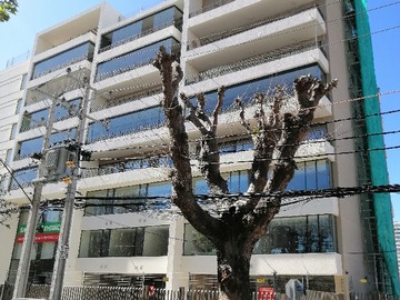 Arriendo Mensual / Oficina / Viña del Mar