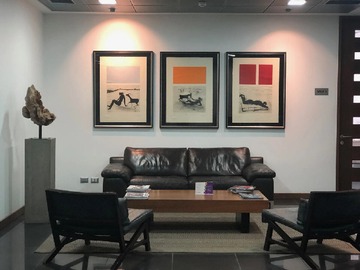 Imagen 15