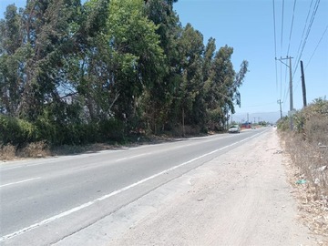 Imagen 6