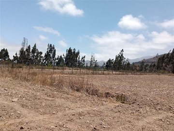 Imagen 11