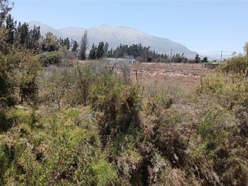 Imagen 22