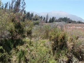 Imagen 20