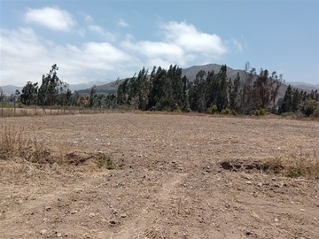 Imagen 17