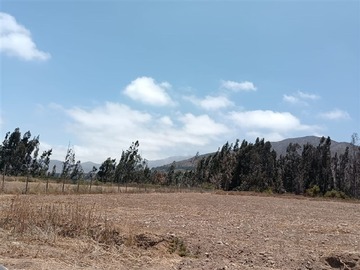 Imagen 12