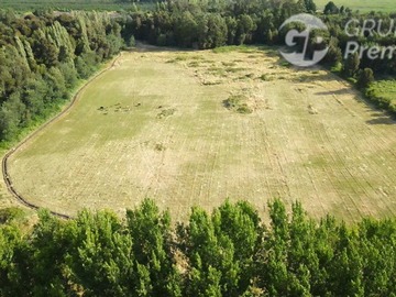 Arriendo Mensual / Parcela / Cabrero