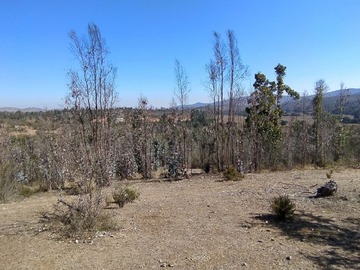 Imagen 9